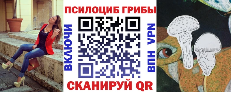 darknet формула  Арск  Галлюциногенные грибы Psilocybe 